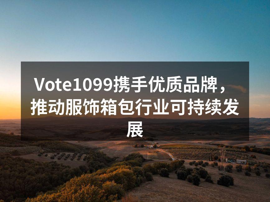 Vote1099的环保手提包,时尚与可持续的完美结合