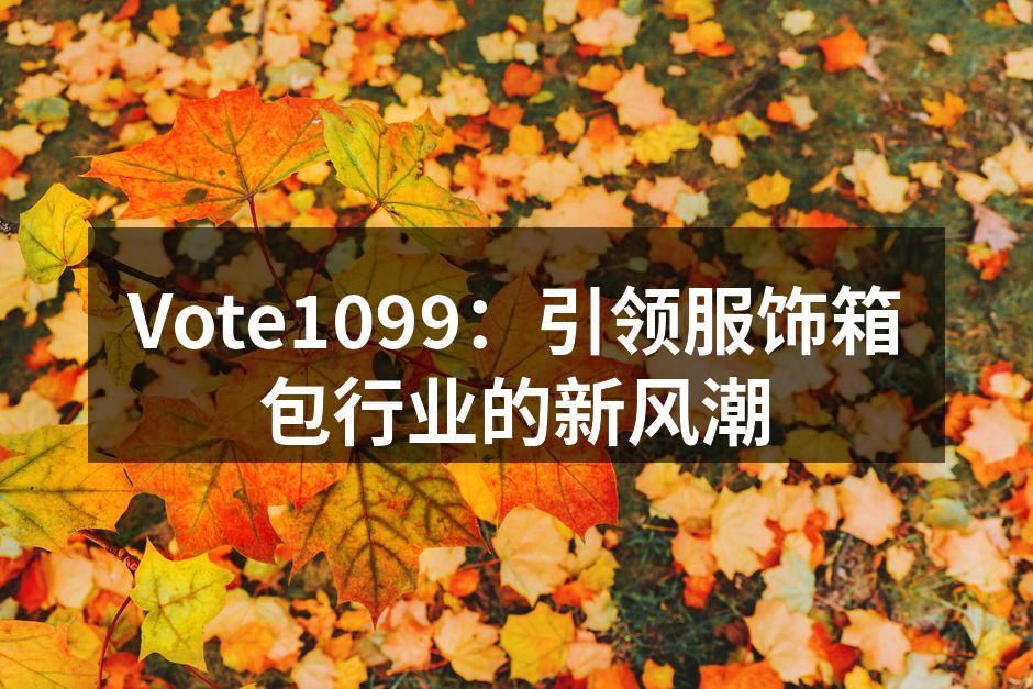 Vote1099：引领服饰箱包行业的新风