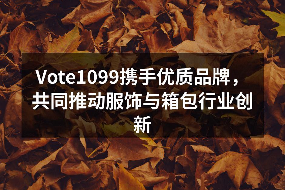 Vote1099与品牌合作的新品展示