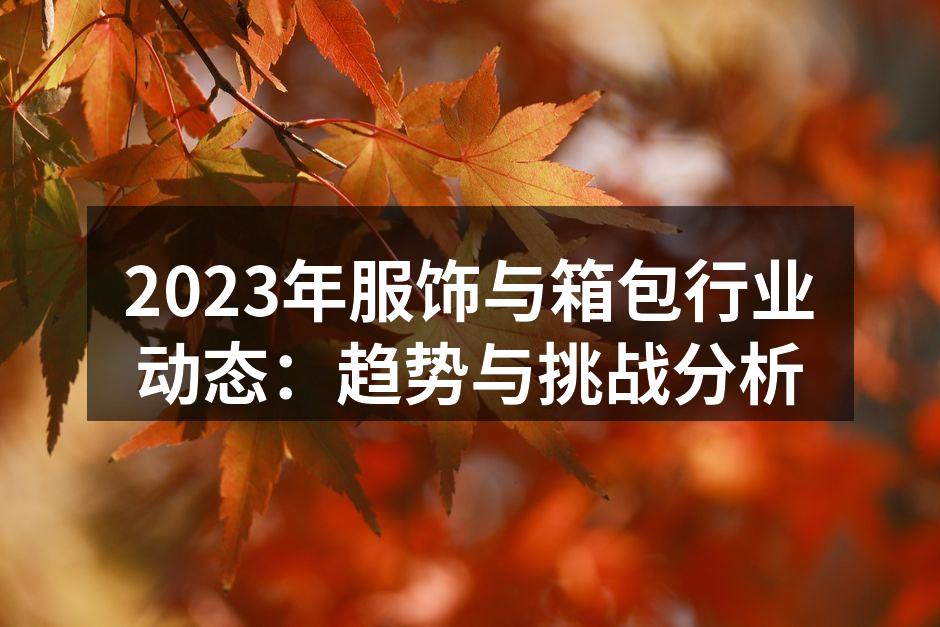 2023年新款服饰展示