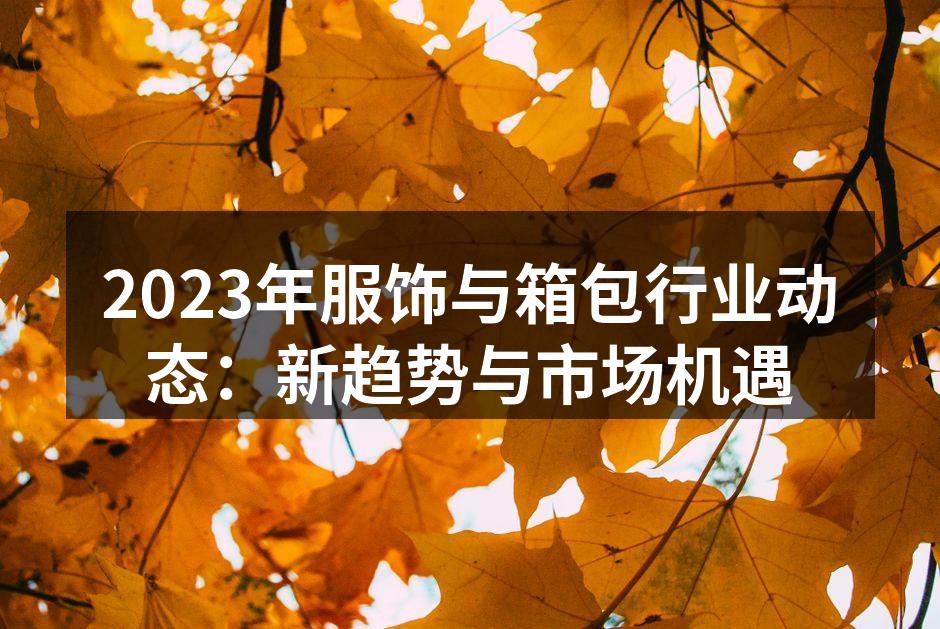 2023年服饰与箱包行业动态：新趋势与市