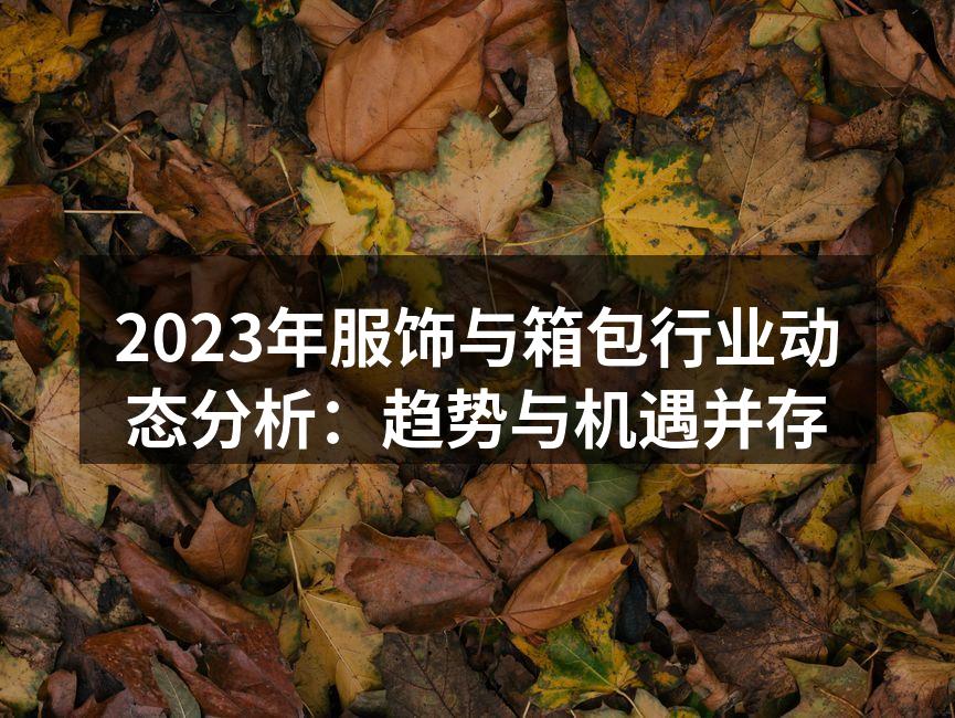 2023年服饰与箱包行业动态分析：趋势与